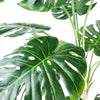 150cm (5ft) Luxury Monstera Plant Black Pot Copper Metal Planter - Premium Quality