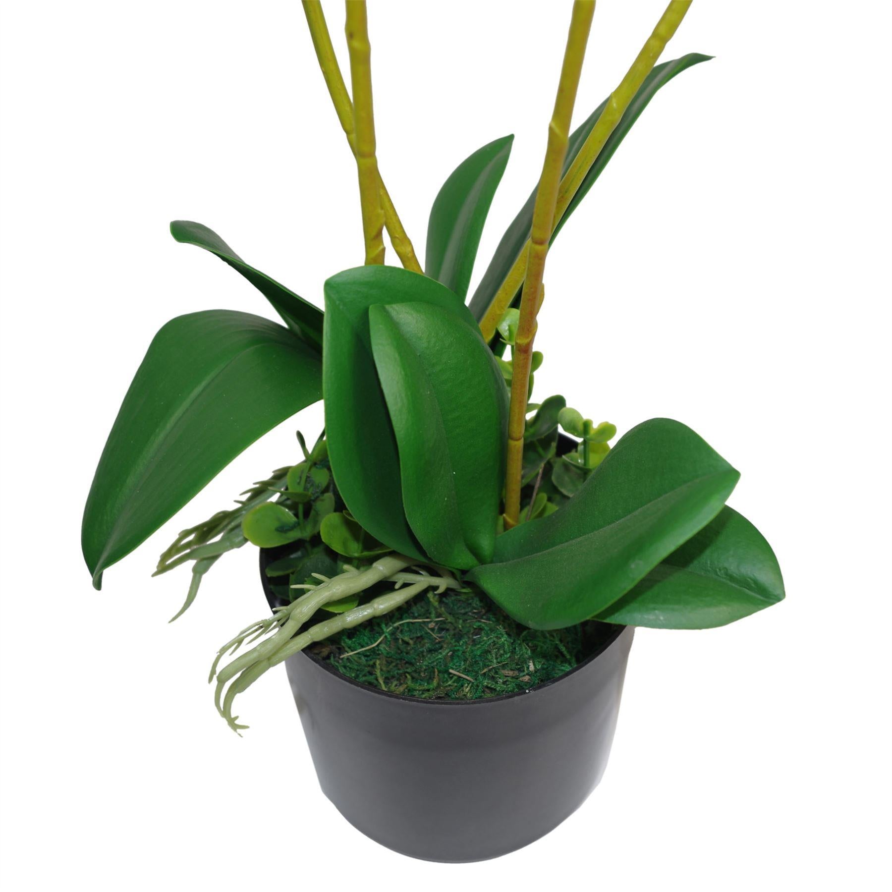 Artificial Orchid Flower Display in Pot 60cm Pink