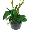 Artificial Orchid Flower Display in Pot 60cm Pink