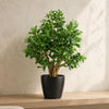 70cm Artificial Deluxe Jade Plant - Premium Quality