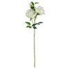 Leaf 60cm White Rose Purple Starflower Display Glass Vase