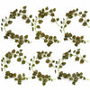 Pack of 6 x 160cm Artificial Watermelon Peperomia Leaf Garland Hanging Decoration