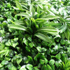 100cm Artificial Mixed Foliage Green Wall Panel with Floral Detail Faux Living Wall