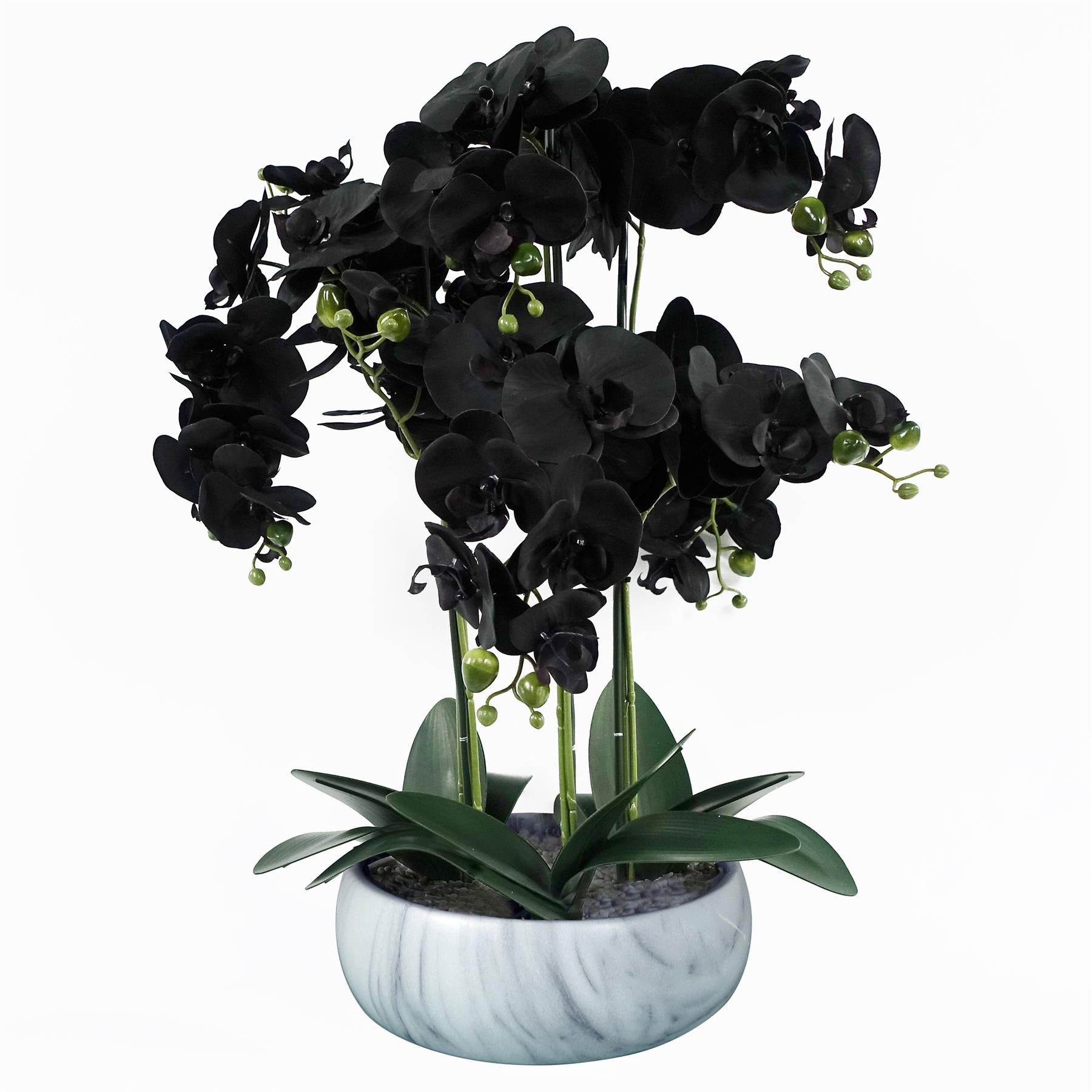 Orchid Black - Gold Ceramic Planter