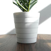 Pack of 6 x 50cm Artificial Mini Palm Tree - Premium Quality