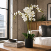 60cm Artificial Luxury Orchid - Triple Stem - White Realistic Plant