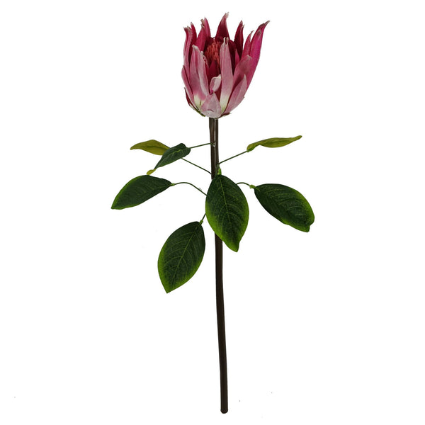 65cm Protea Sugarbush Flower Stem - Pink