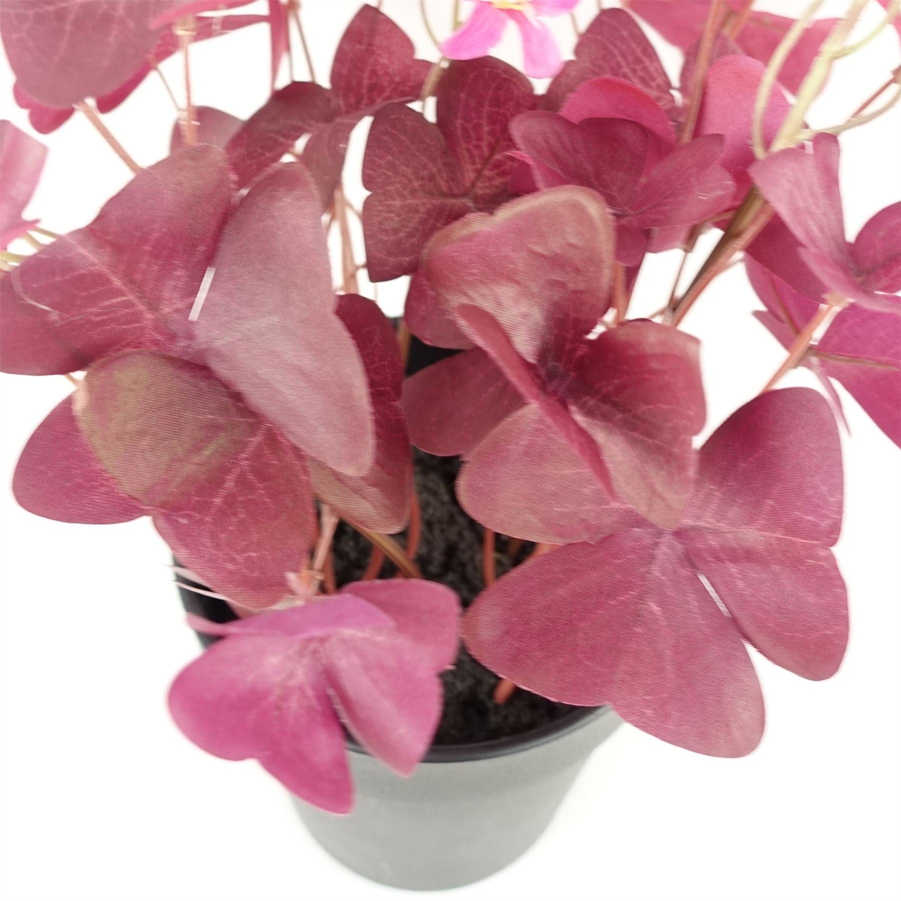 Artificial Plant Purple Shamrock Pink Flowers Potted Botanik