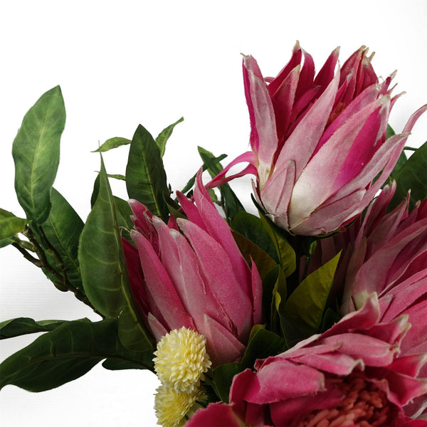 Pack of 6 x 65cm Protea Sugarbush Flower Stem - Pink - Premium Quality