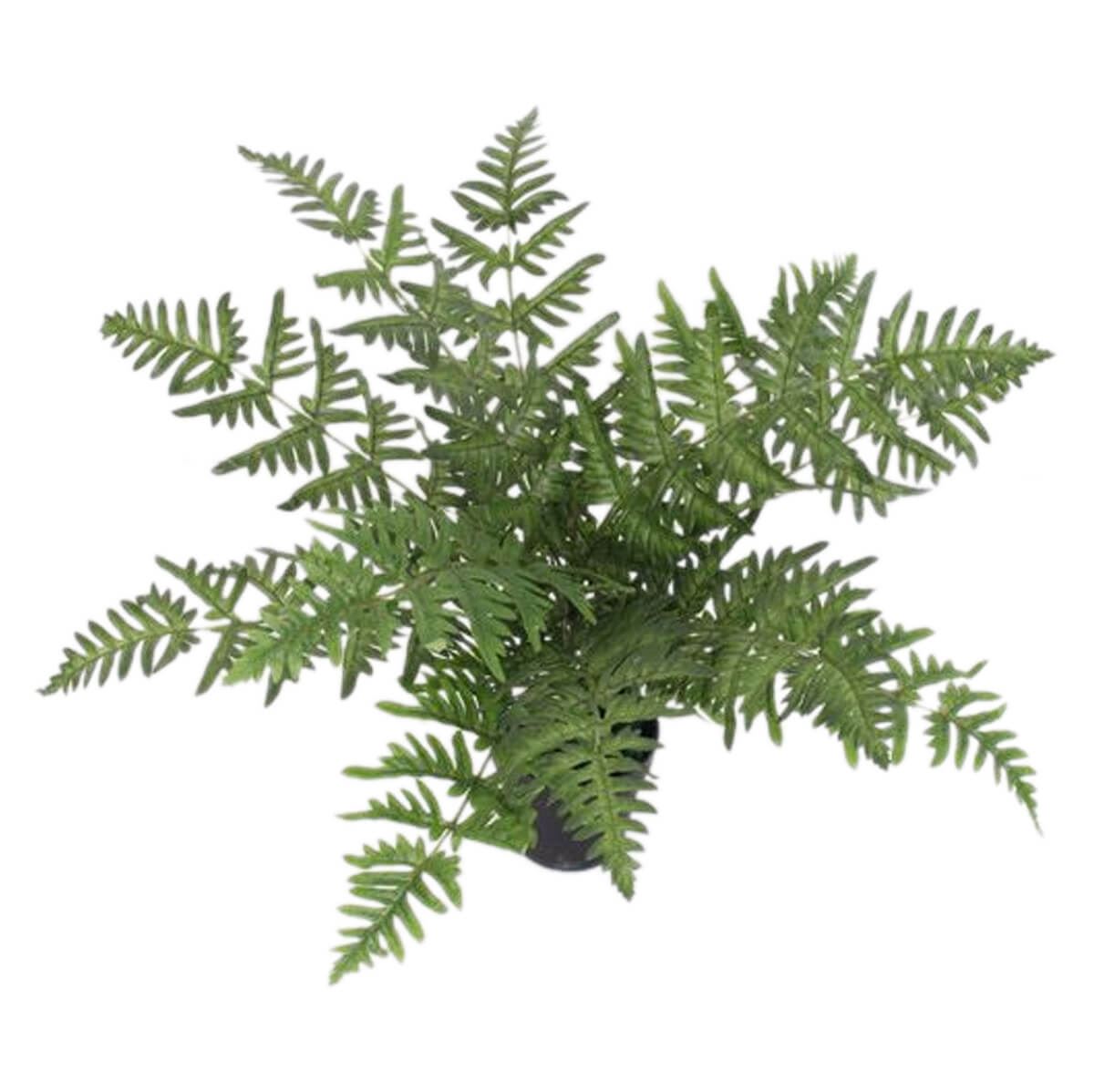 Artificial 50cm Luxury Evergreen Fern Plant