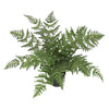 Artificial 50cm Luxury Evergreen Fern Plant