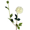 Pack of 6 x 75cm Artificial Dahlia PomPom Flower Stem Cream - Premium Quality