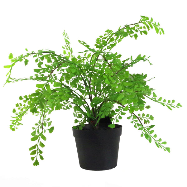 Artificial Fern Plant 35cm Maiden Fern Plant