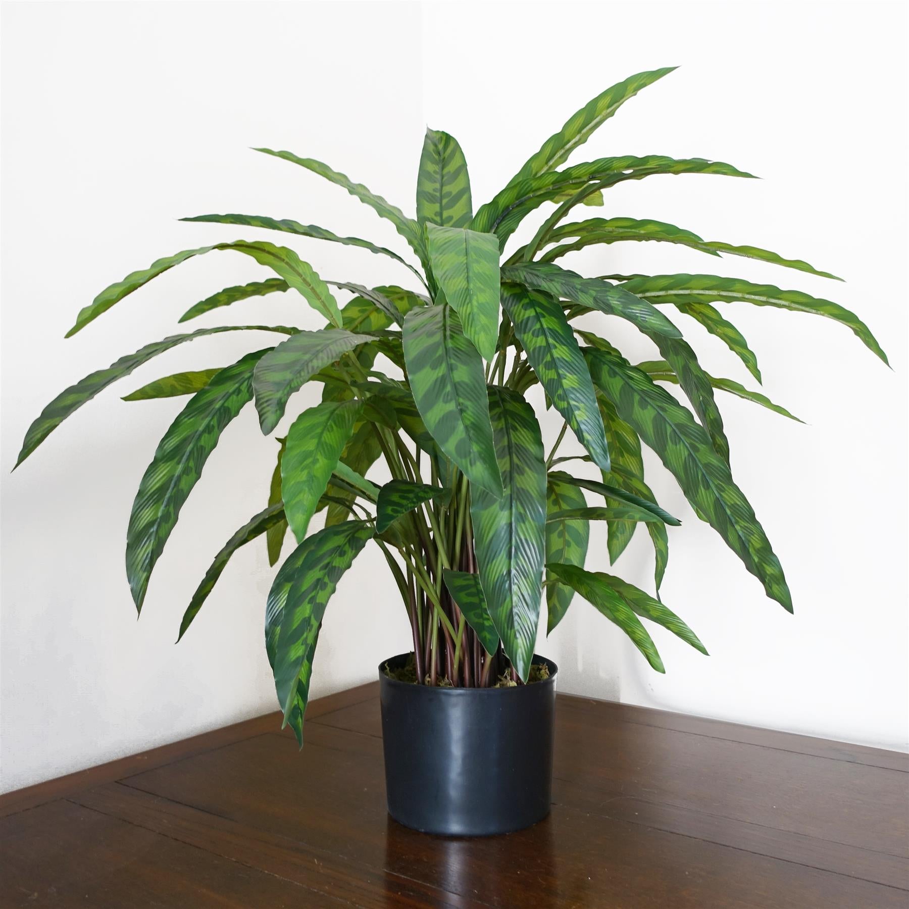 60cm Variegated Artificial Calathea Plant with pot