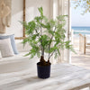 Artificial Fern Plant 60cm Fern 60cm Display