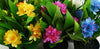 18cm Artificial Freesia Plant Yellow Flowering - Premium Quality