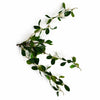 55cm Artificial Trailing Ficus Vine Stem - Premium Quality