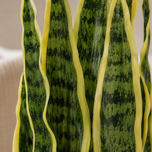 55cm Artificial Sansevieria Yellow Green Indoor Plant