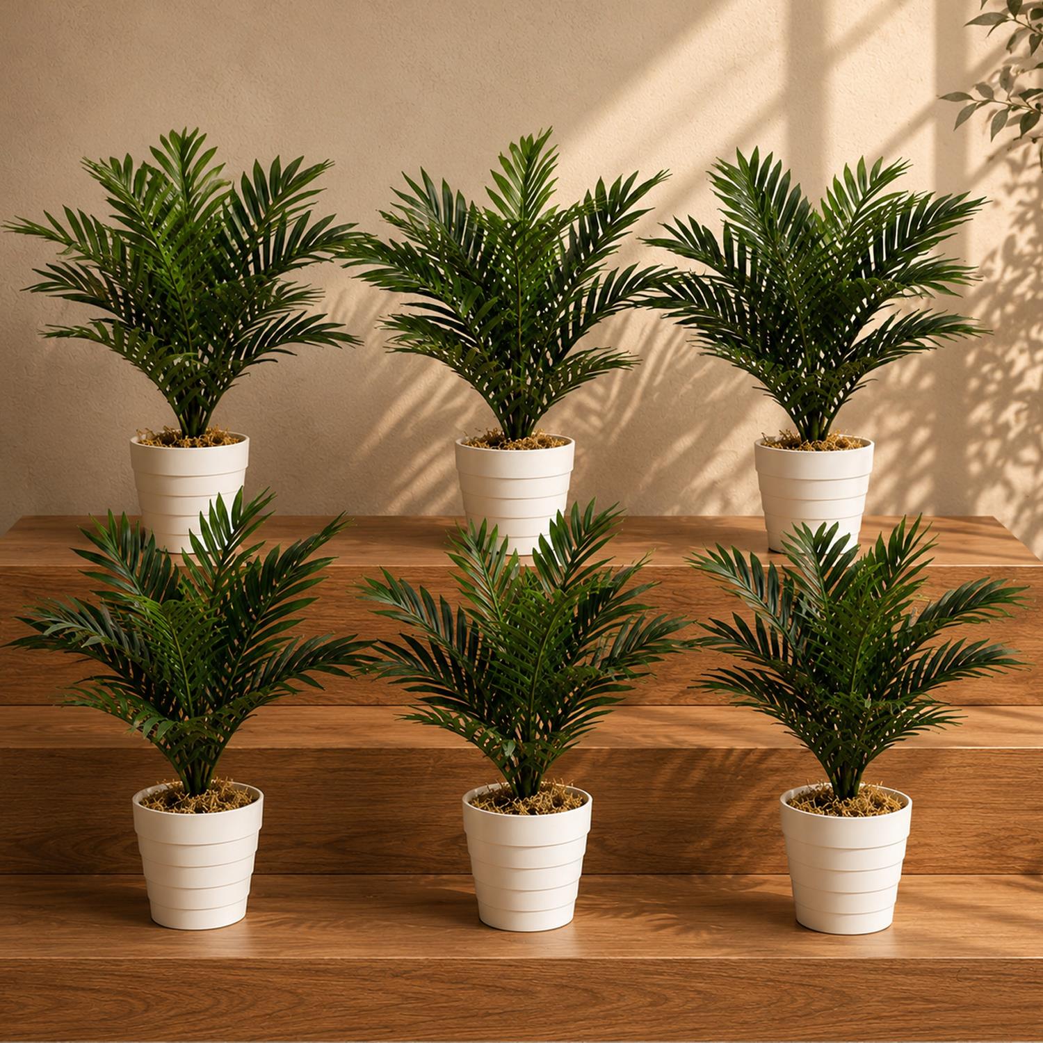 Pack of 6 x 50cm Artificial Mini Palm Tree