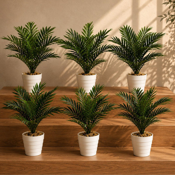 Pack of 6 x 50cm Artificial Mini Palm Tree