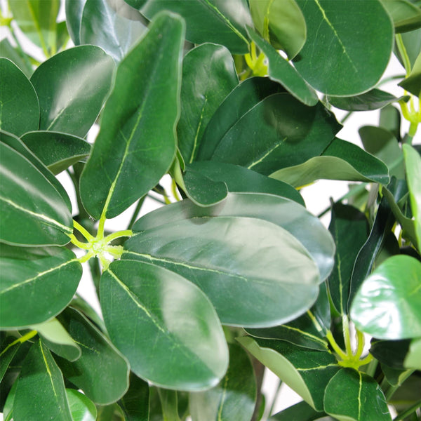 Artificial Ficus Tree Plant 95cm Arboricola Plants