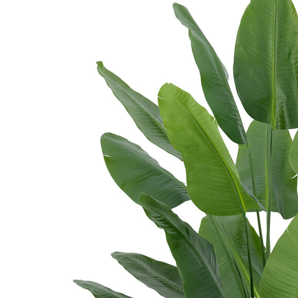 200cm Traveller Palm Artificial Tree Realistic - Premium Quality