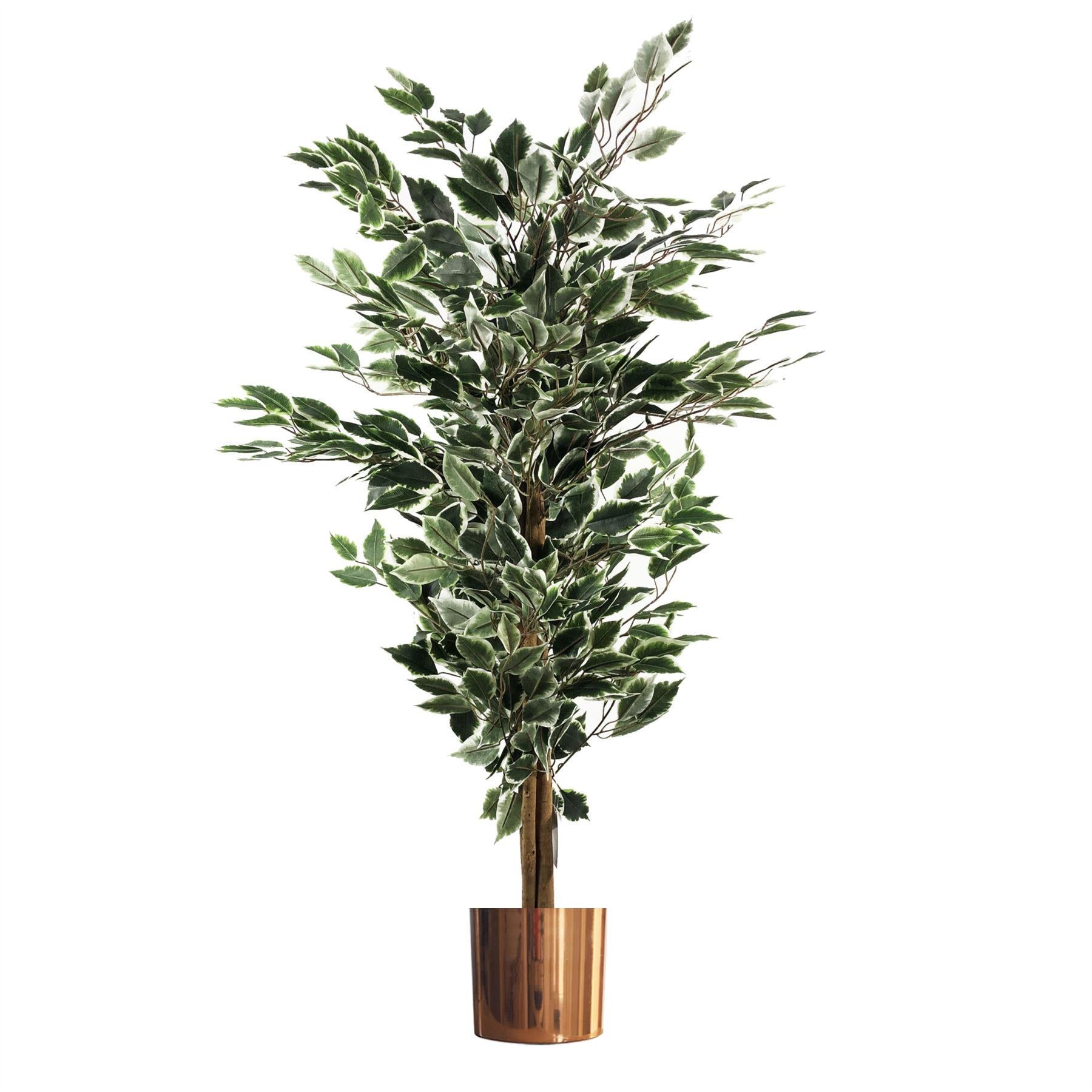 Artificial Ficus Tree Plant White Edge Bushy 130cm Plants Leaf Copper Metal Planter