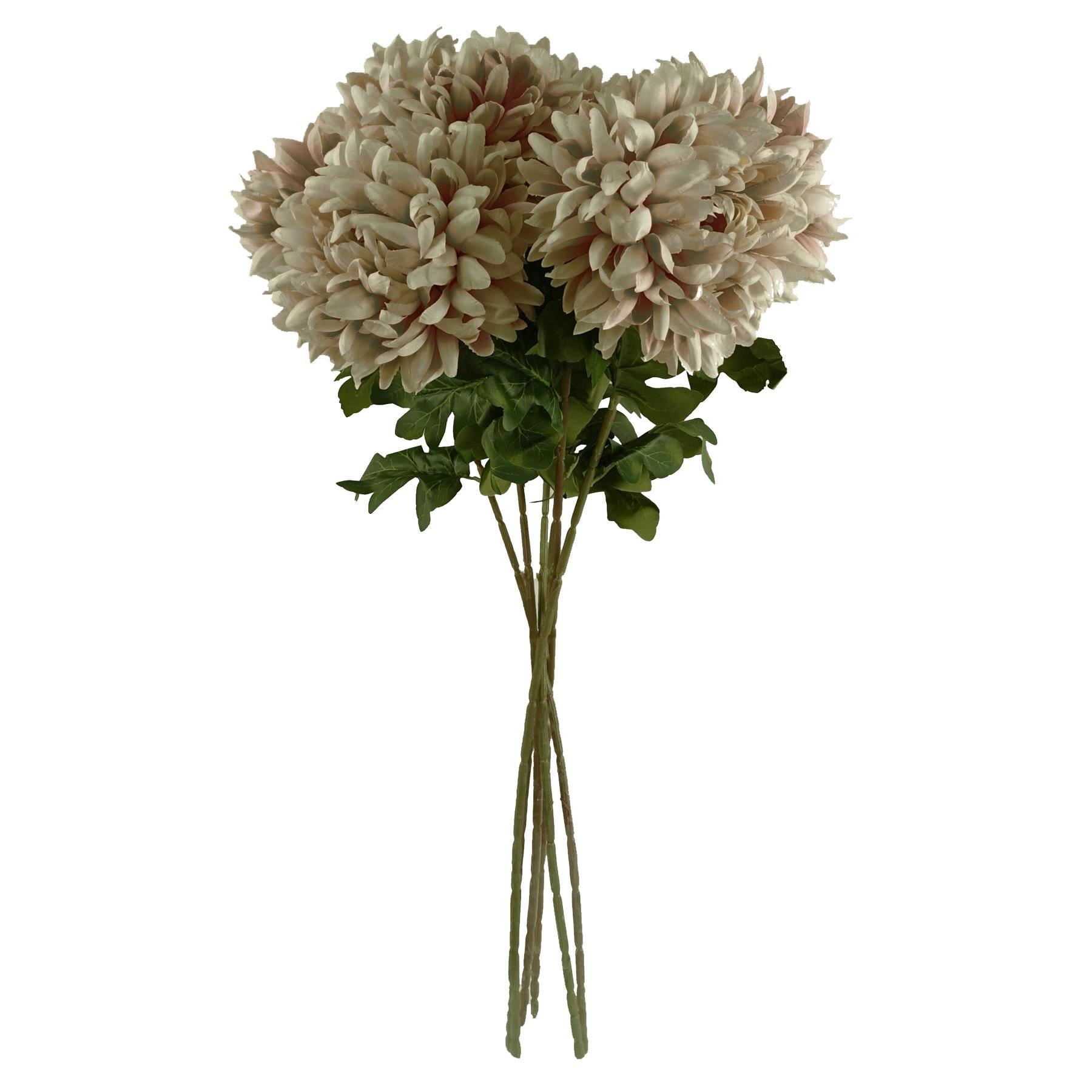 Pack of 6 x 75cm Extra Large Reflex Chrysanthemum - Mushroom - Premium Quality