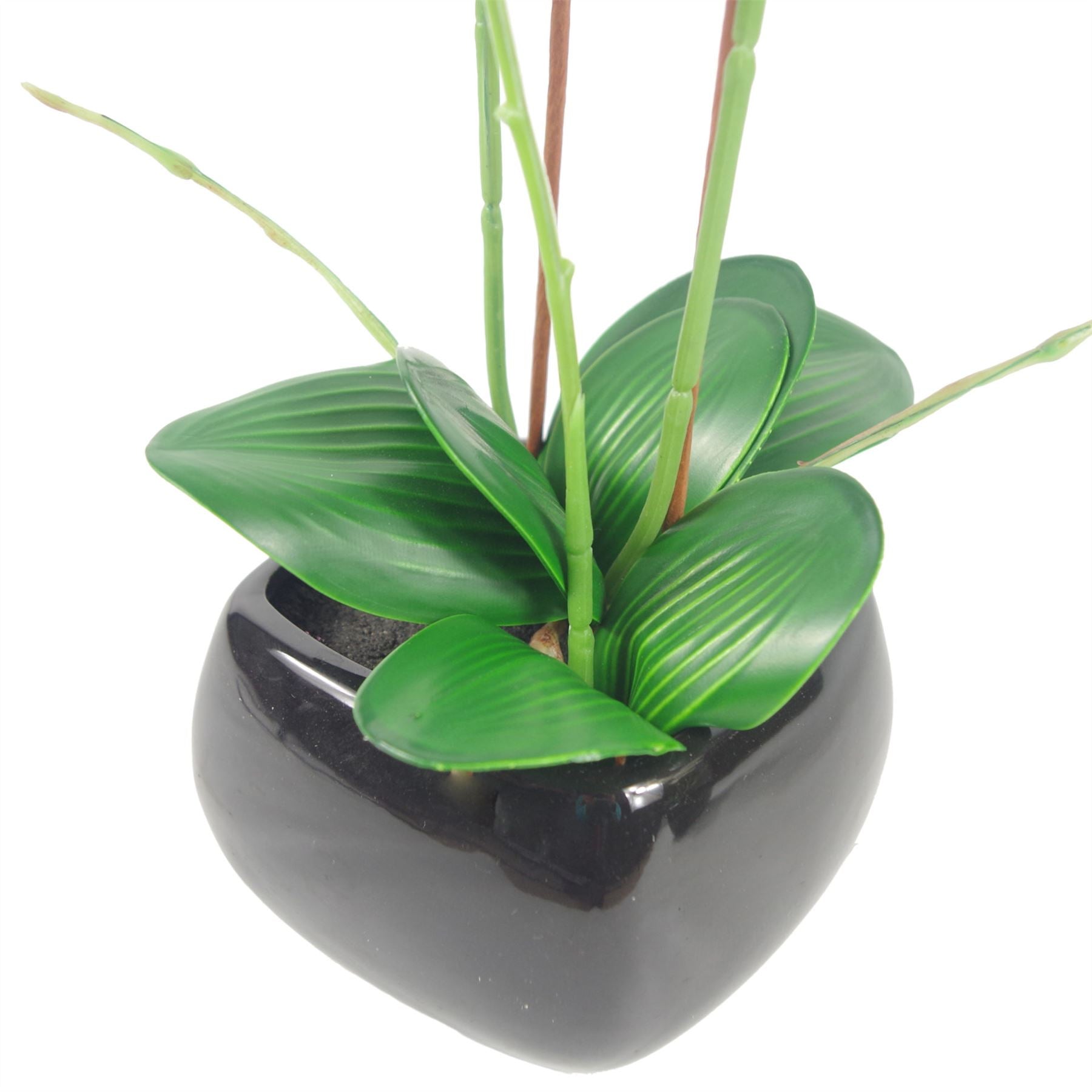 Artificial Orchid Flower Plant 70cm Dark Pink Black Ceramic Planter