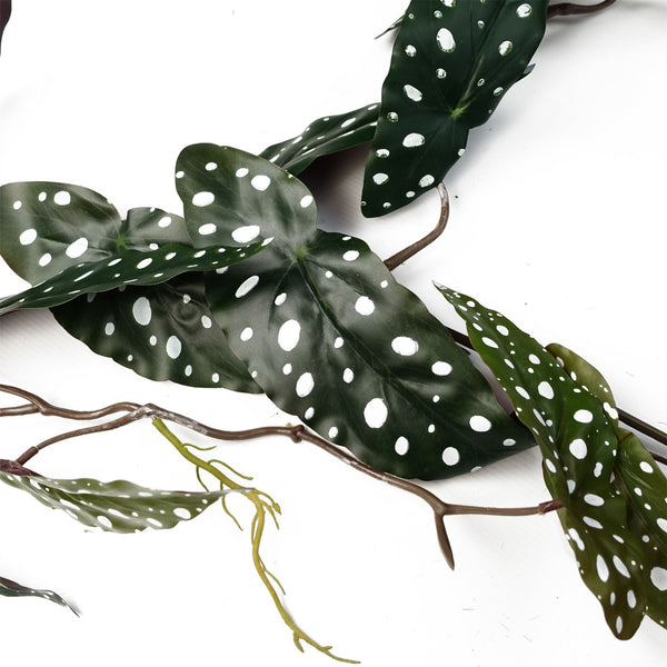 6 x 110cm Artificial Hanging Trailing Begonia Maculata Spotted Plant - Premium Quality