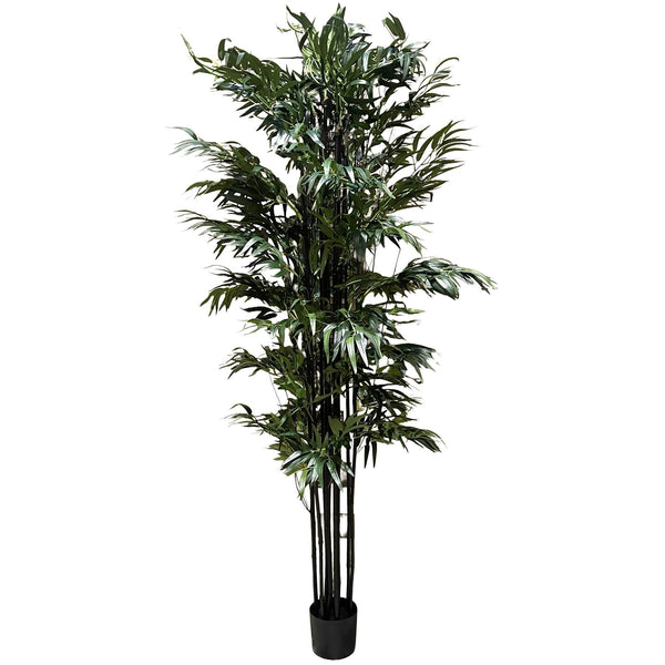 200cm Fire Retardant Natural Bamboo Tree - Premium Quality