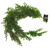 Hanging String of Pearls Fern Plant Dark Green 100cm