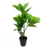 Rubber Plant Artificial in Pot 65cm