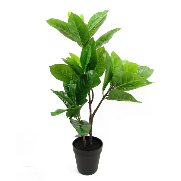 Rubber Plant Artificial in Pot 65cm