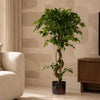 Twisted Trunk Artificial Japanese Fruticosa Style Ficus Tree 120cm