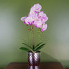 Artificial 50cm Phalaenopsis Orchid - Light Pink Silver
