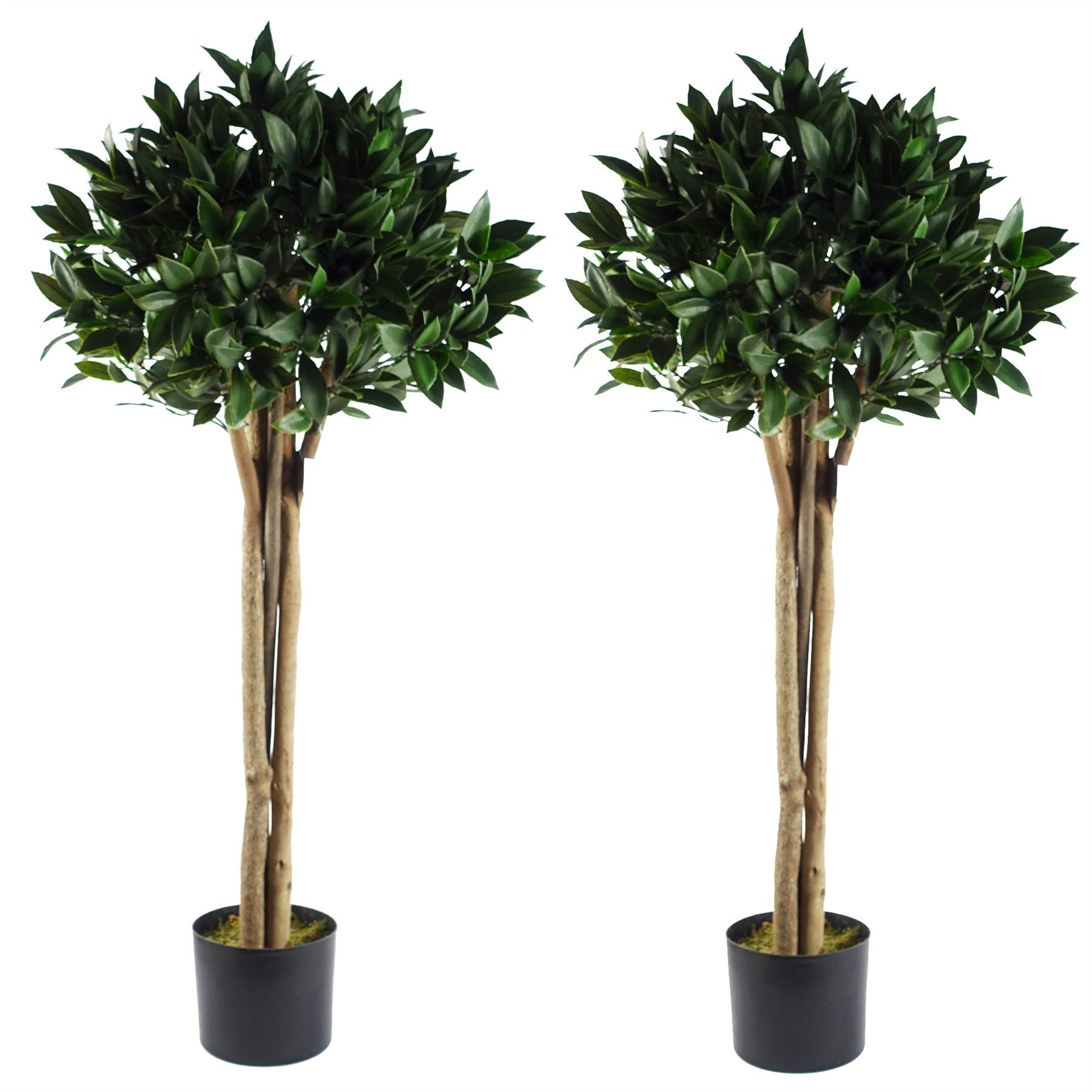 120cm Pair of Bay Tree Laurel UV Resistant Outdoor Topiary - Premium Quality