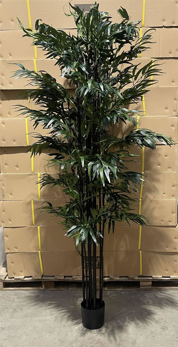 200cm Fire Retardant Natural Bamboo Tree - Premium Quality