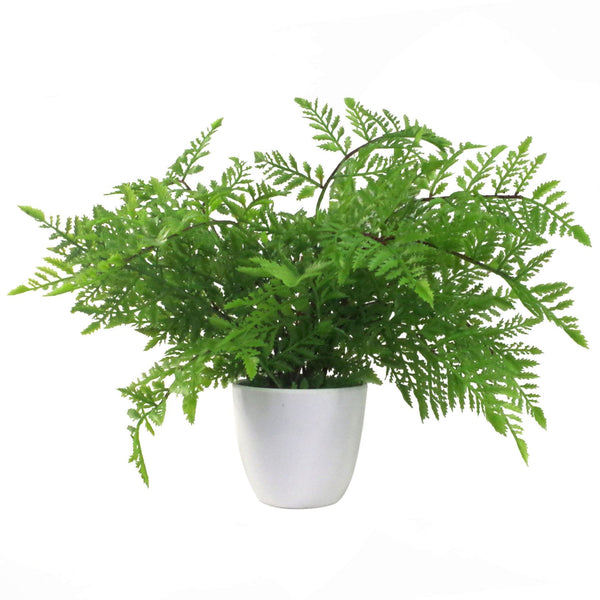 Artificial Fern Plant 30cm Fern 30cm Display