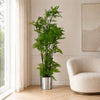 Artificial Tree Moss Fern Silver Planter 150cm