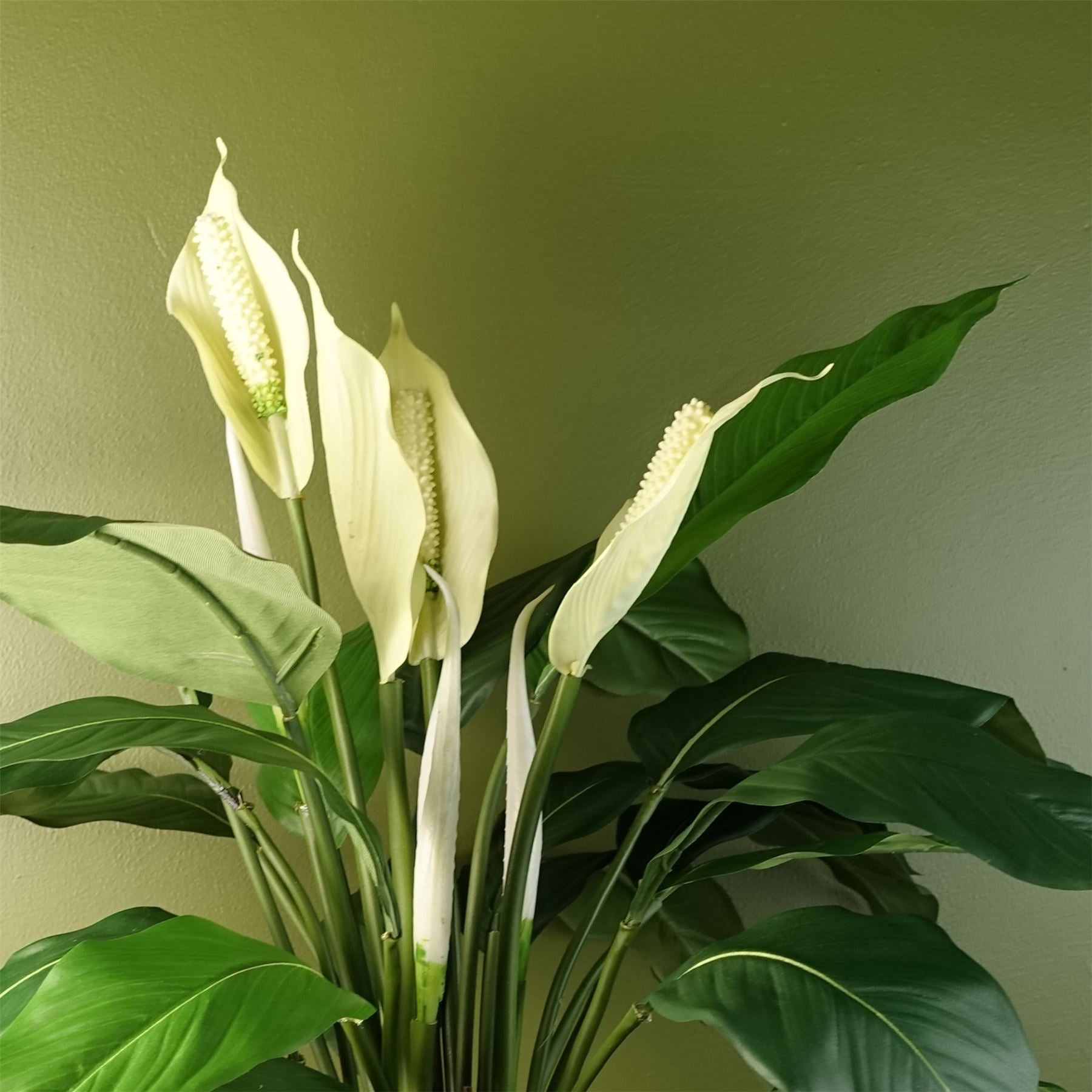 Artificial Plant Large Lily Peace White Spathiphyllum Botanik