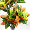 Artificial Tree Orange Yellow Codiaeum Tropical Large Botanik