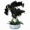 60cm Orchid Artificial Black - White Ceramic Planter - Premium Quality