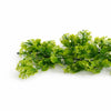 170cm Artificial Green Mixed Foliage Floral Garland Hanging Decoration - Premium Quality