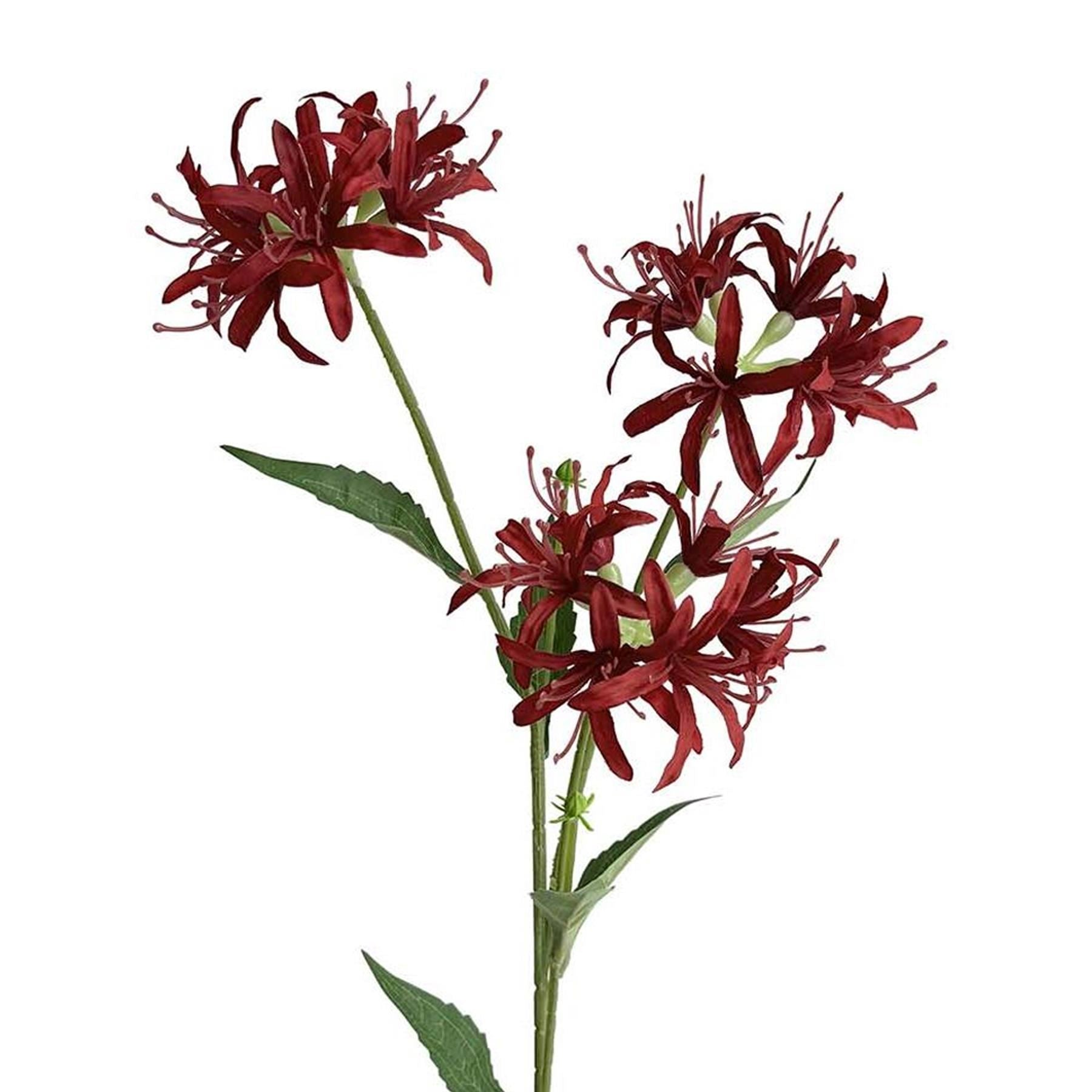 Pack of 6 x 72cm Artificial Burgundy Spider Lily Stems
