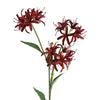 Pack of 6 x 72cm Artificial Burgundy Spider Lily Stems