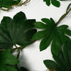 6 x 110cm Artificial Hanging Trailing Aralia Plant - Premium Quality