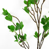 Pack of 6 x 100cm Mini Leaf Ficus Stem