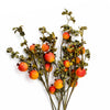 Pack of 6 x 75cm Artificial Pomegranate Stem Artificial Yellow