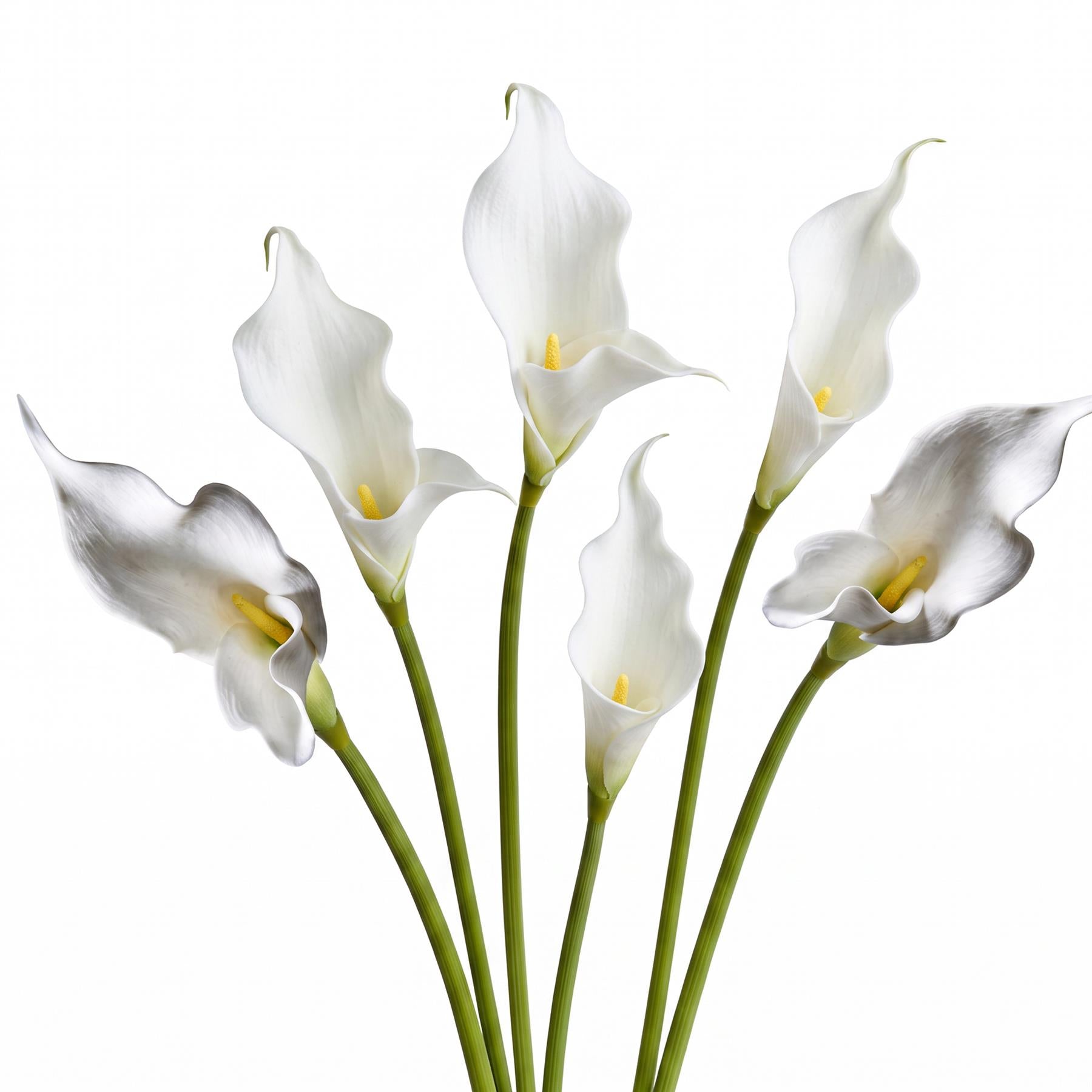 Pack of 6 x 70cm Artificial White Calla Lily Stems